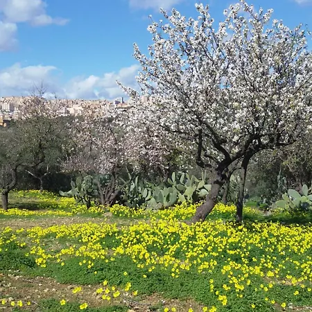 Guest house La Dolce &