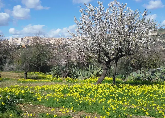 Pensjonat La Dolce &